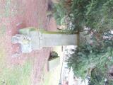 image number 1020006